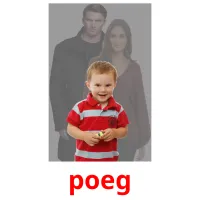 poeg picture flashcards