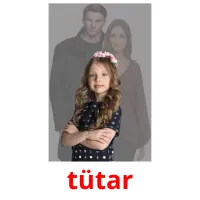 tütar picture flashcards