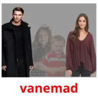 vanemad picture flashcards