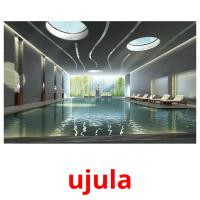 ujula card for translate