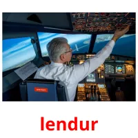 lendur picture flashcards