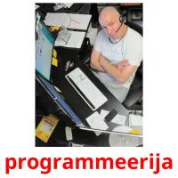 programmeerija picture flashcards