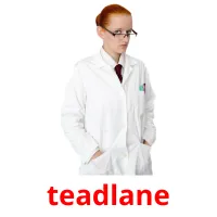 teadlane picture flashcards