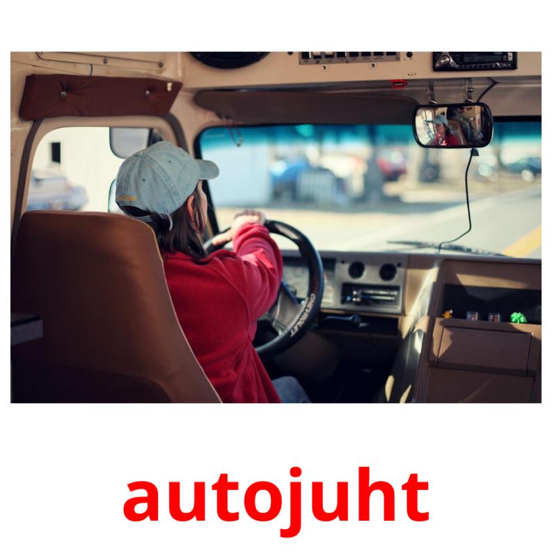 autojuht picture flashcards