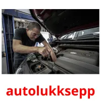 autolukksepp cartões com imagens