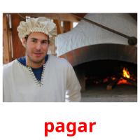pagar picture flashcards