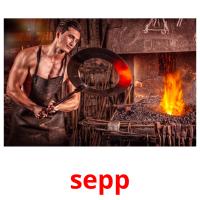 sepp card for translate