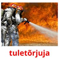 tuletõrjuja card for translate