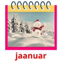 jaanuar picture flashcards