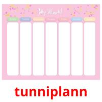 tunniplann picture flashcards