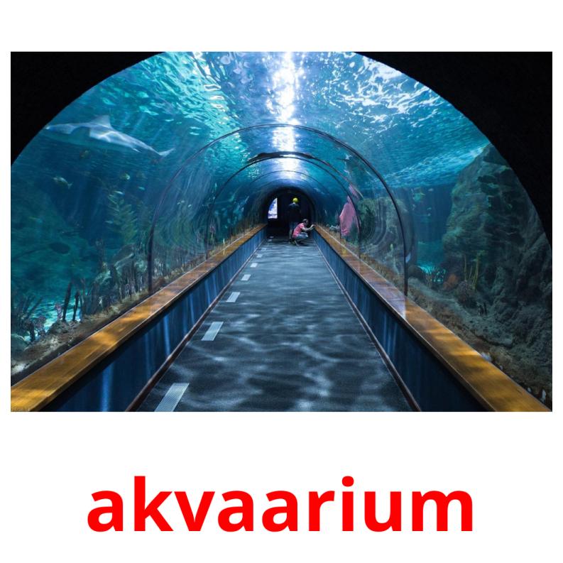 akvaarium picture flashcards