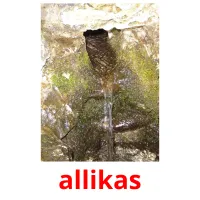 allikas ansichtkaarten