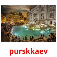 purskkaev picture flashcards