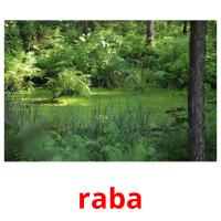 raba picture flashcards