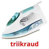triikraud picture flashcards