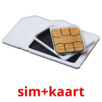 sim+kaart flashcards illustrate