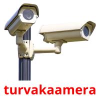 turvakaamera picture flashcards