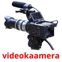 videokaamera Tarjetas didacticas