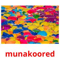 munakoored picture flashcards