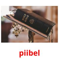 piibel picture flashcards