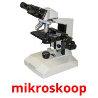mikroskoop flashcards illustrate