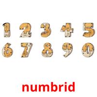 numbrid flashcards illustrate