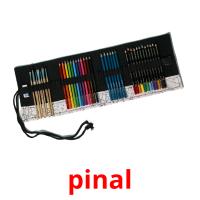 pinal picture flashcards