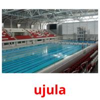 ujula picture flashcards
