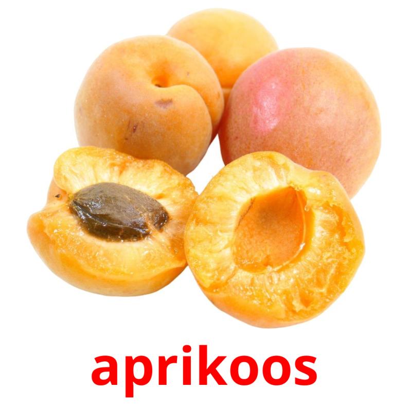 aprikoos picture flashcards