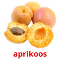 aprikoos ansichtkaarten