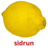 sidrun picture flashcards
