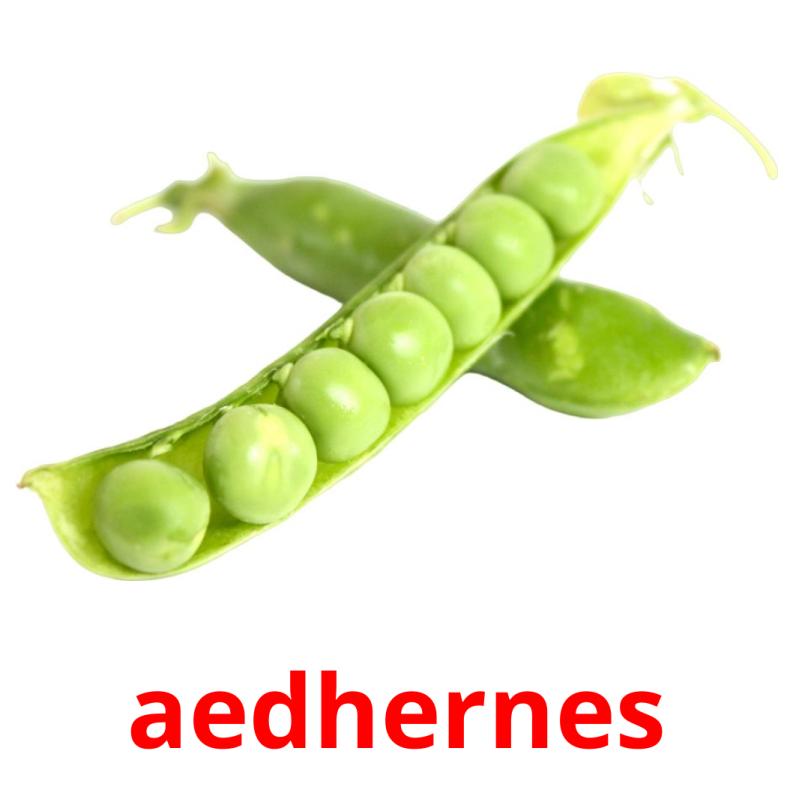 aedhernes picture flashcards