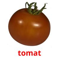 tomat picture flashcards