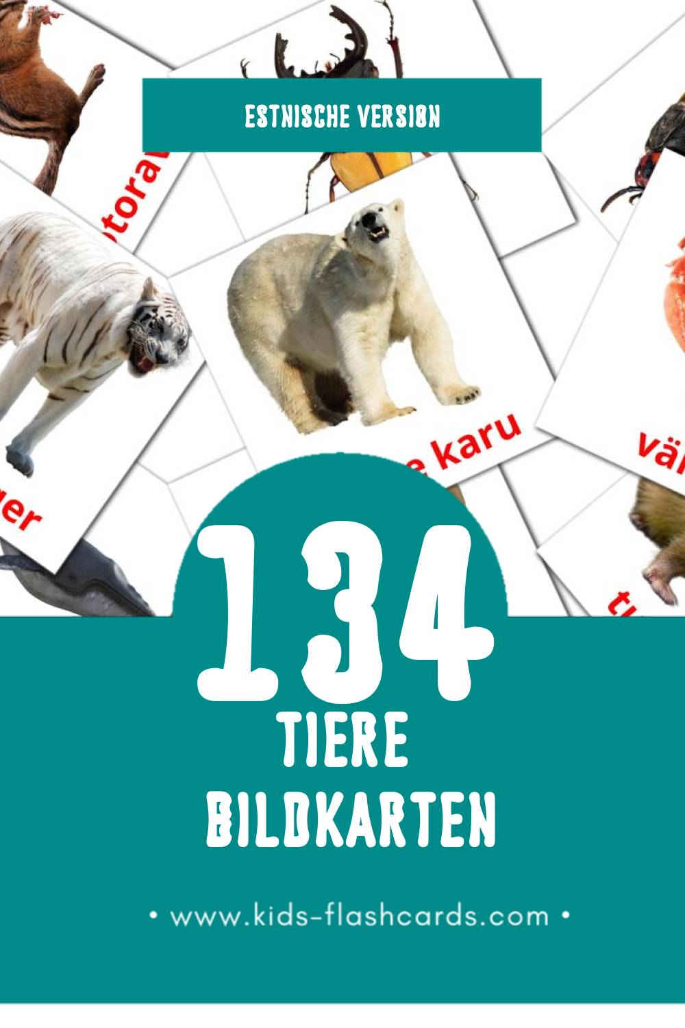 Visual LOOMAD Flashcards für Kleinkinder (134 Karten in Estnisch)