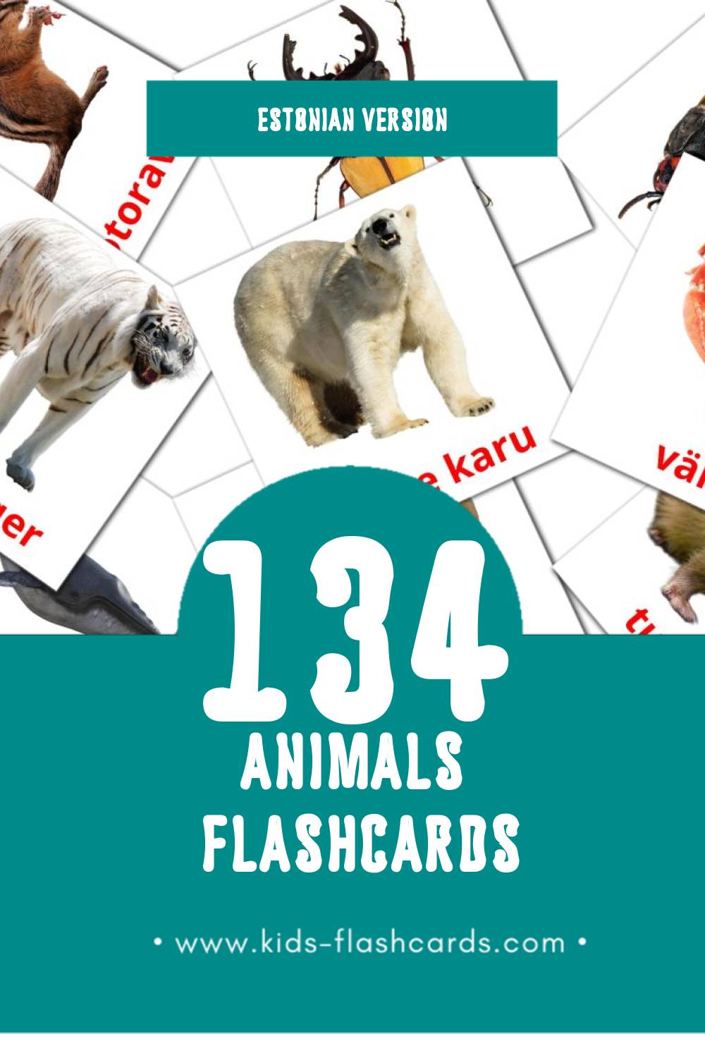 Visual LOOMAD Flashcards for Toddlers (134 cards in Estonian)