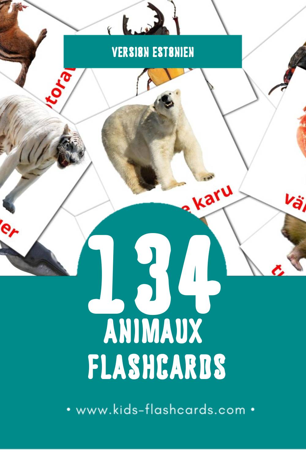 Flashcards Visual LOOMAD pour les tout-petits (134 cartes en Estonien)
