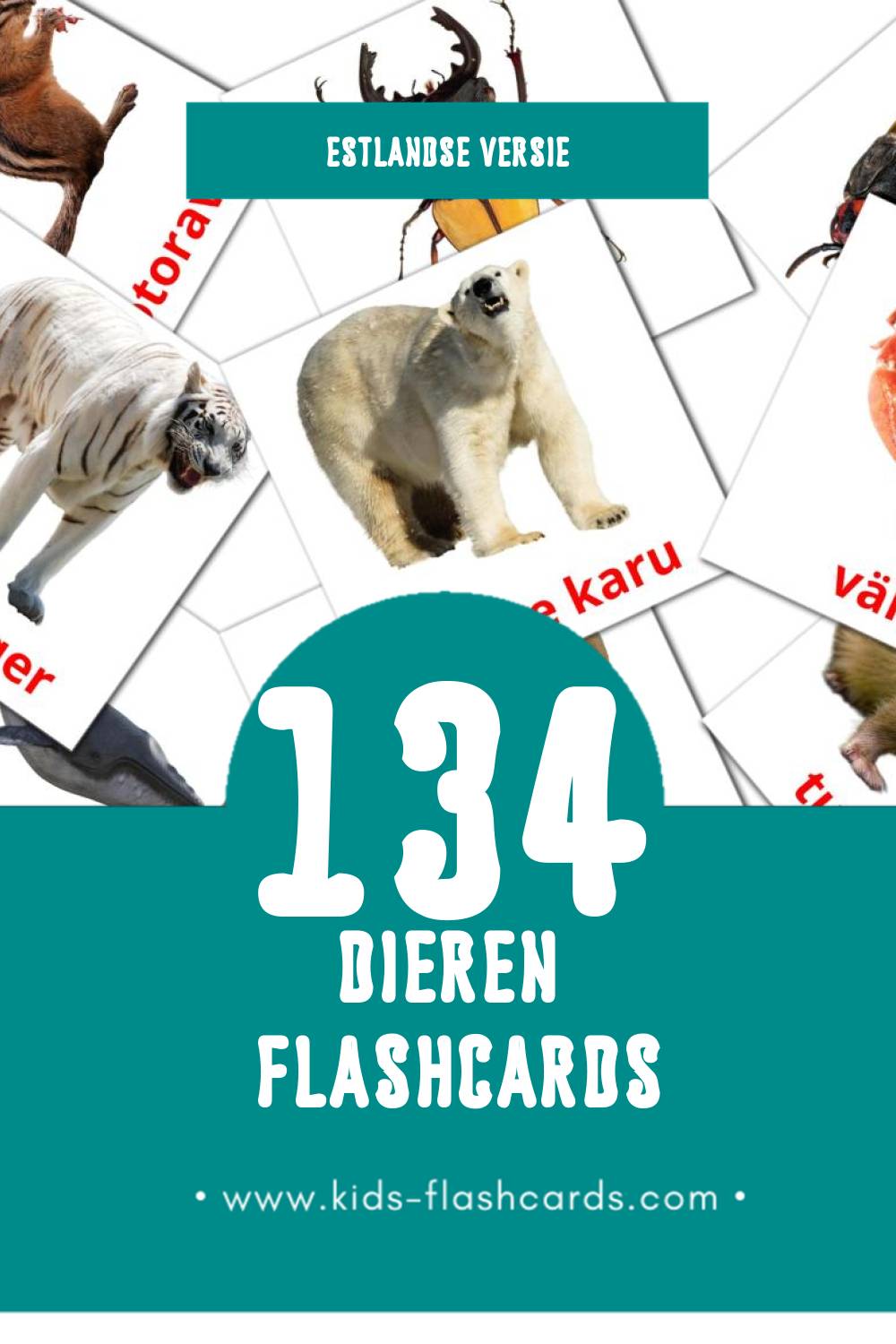 Visuele LOOMAD Flashcards voor Kleuters (134 kaarten in het Estlands)