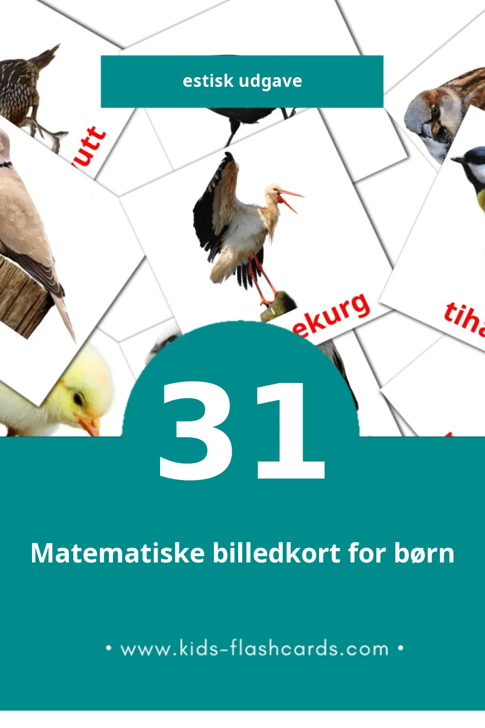 Visuelle billedkort for børn om LINNUD til småbørn (31 kort på Estisk)