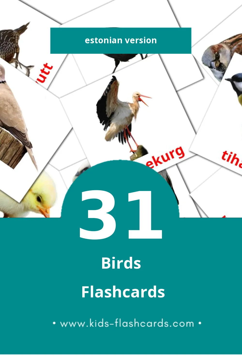 Visual LINNUD Flashcards for Toddlers (31 cards in Estonian)