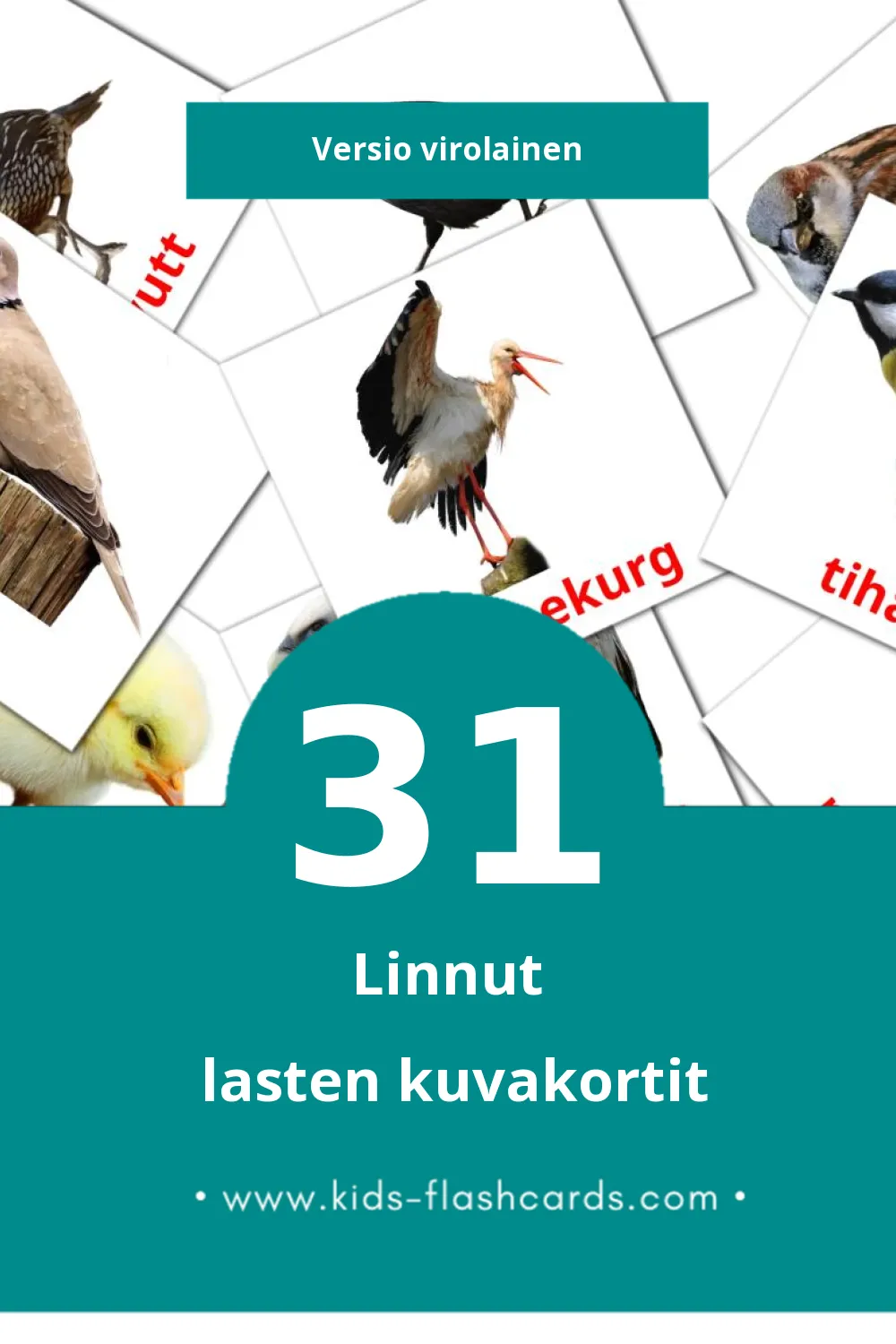 LINNUD lasten kuvakortit pikkulapsille (31 korttia Virolaiseksi)