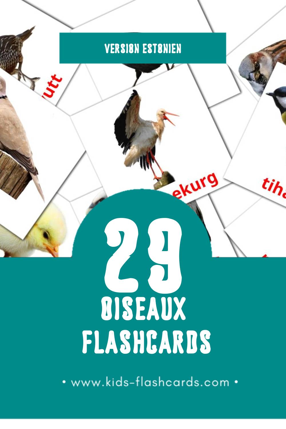 Flashcards Visual LINNUD pour les tout-petits (29 cartes en Estonien)
