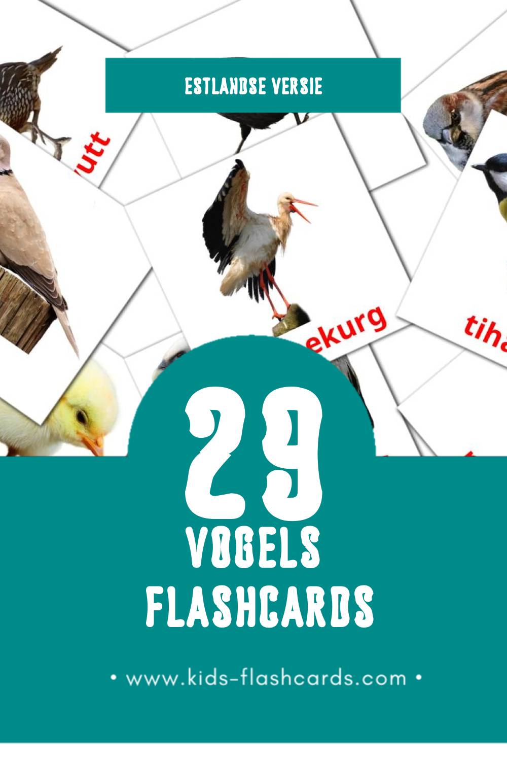 Visuele LINNUD Flashcards voor Kleuters (29 kaarten in het Estlands)