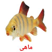 ماهی card for translate