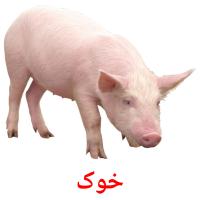 خوک card for translate