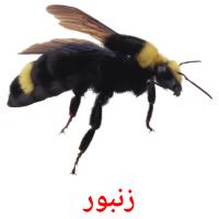 زنبور карточки энциклопедических знаний