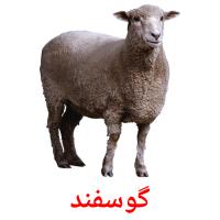 گوسفند card for translate