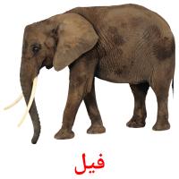 فیل card for translate