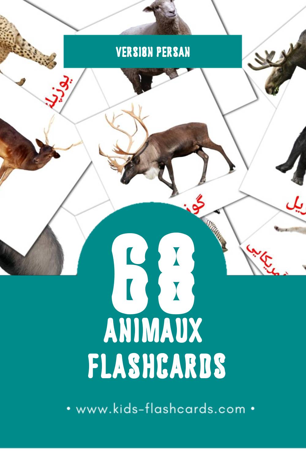 Flashcards Visual حیوانات pour les tout-petits (68 cartes en Persan)