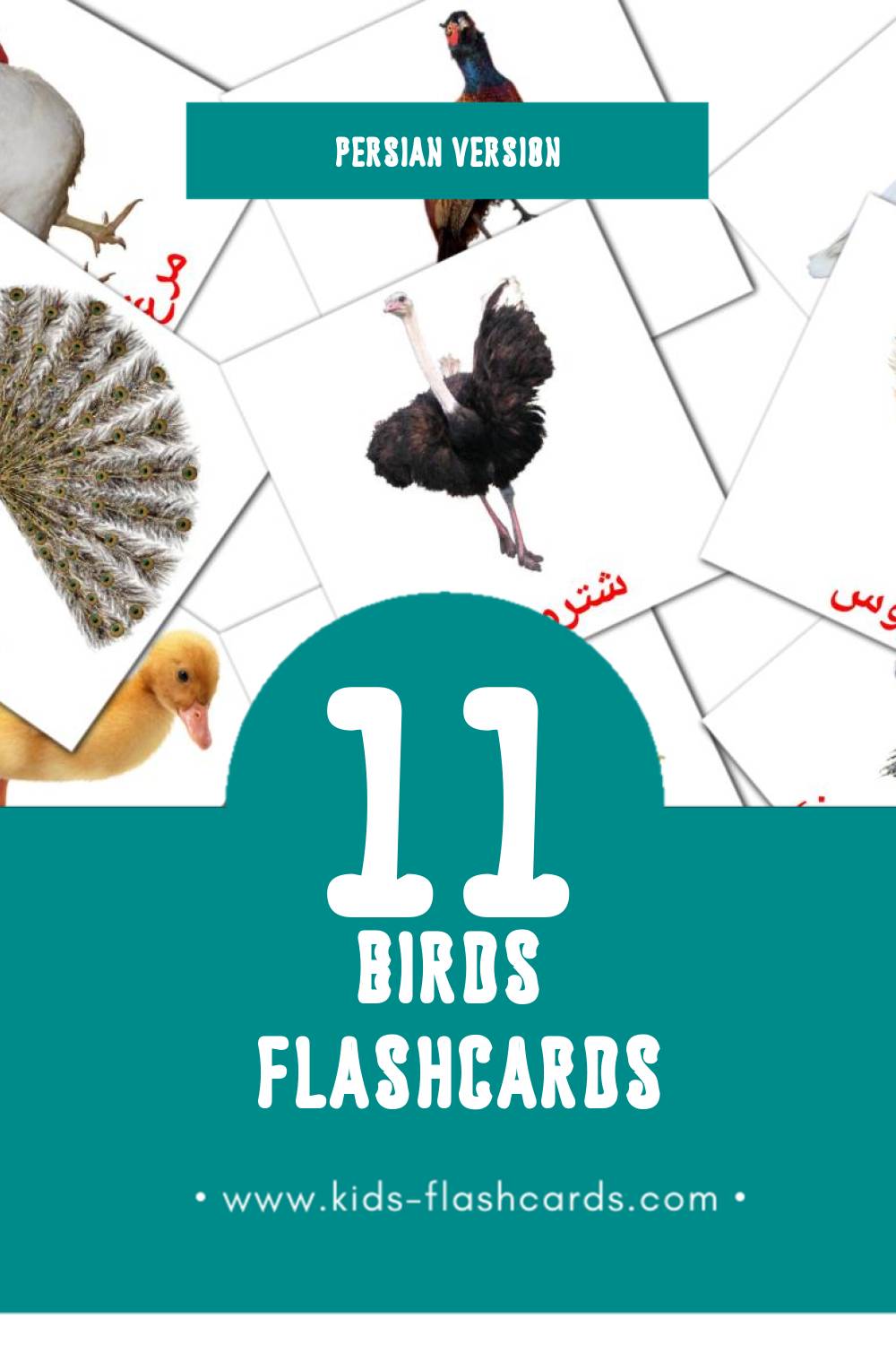 Visual پرنده ها Flashcards for Toddlers (11 cards in Persian)