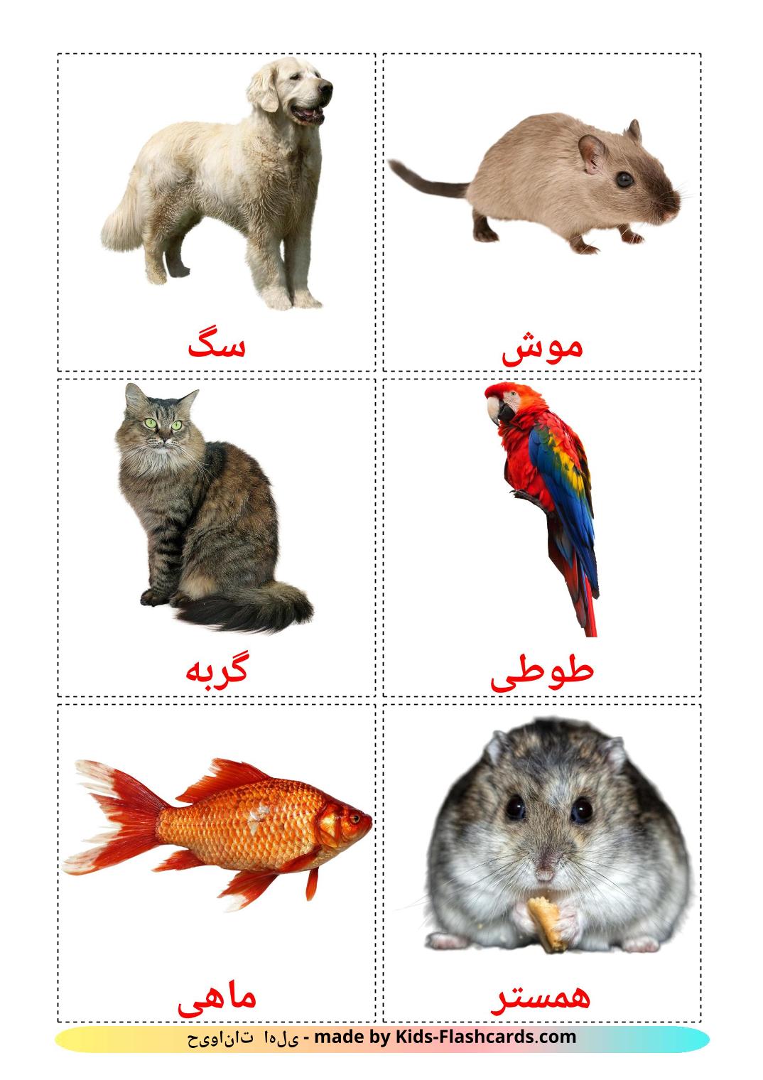 Domestic animals - 10 Free Printable persian Flashcards 